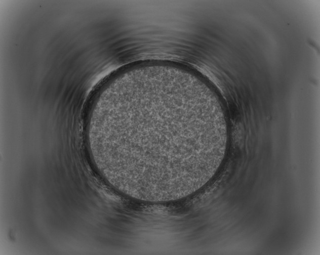 X0000092220971200710121153