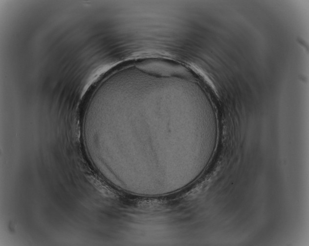X0000092220973200710121153
