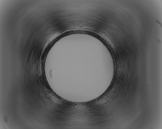 X0000092220974200710121153