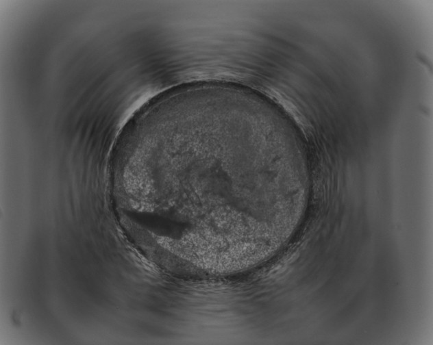 X0000092220975200710121153