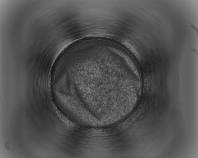 X0000092220976200710121153
