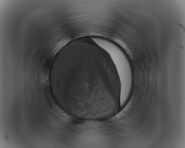 X0000092220977200710121153