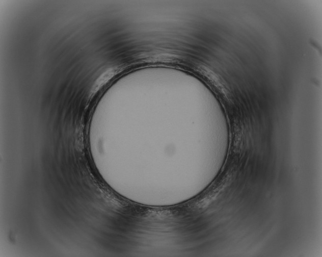 X0000092220978200710121153