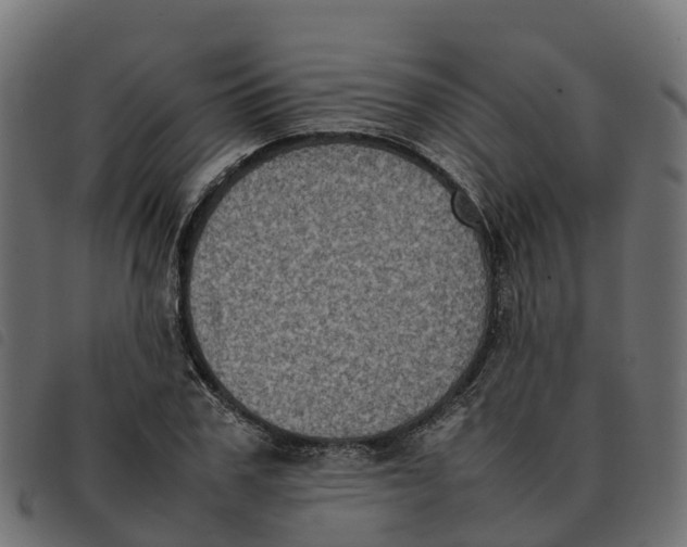 X0000092220979200710121153