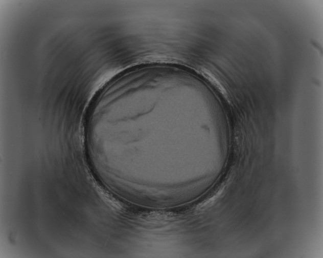 X0000092220981200710121153