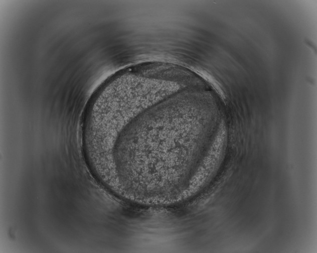 X0000092220983200710121153