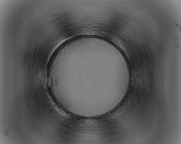 X0000092220984200710121153