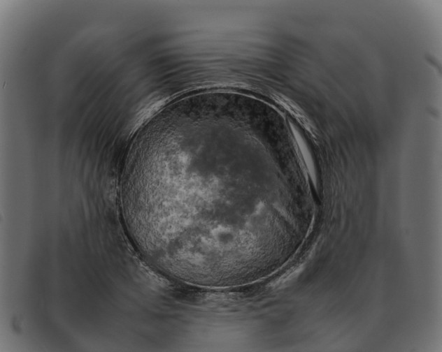 X0000092220985200710121153