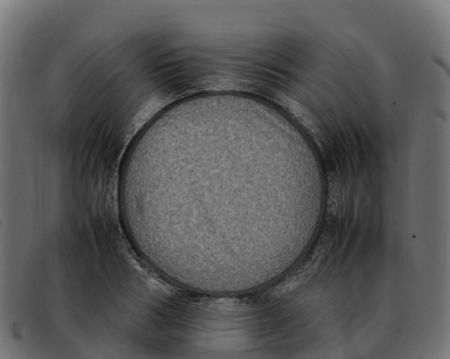 X0000092220986200710121153