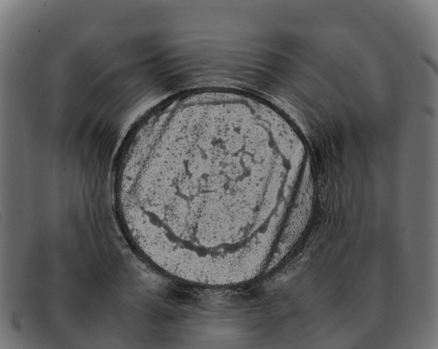 X0000092220987200710121153