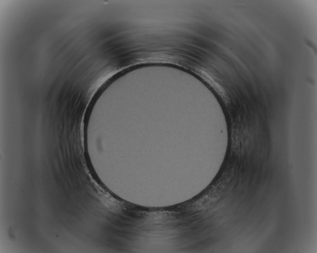 X0000092220988200710121153