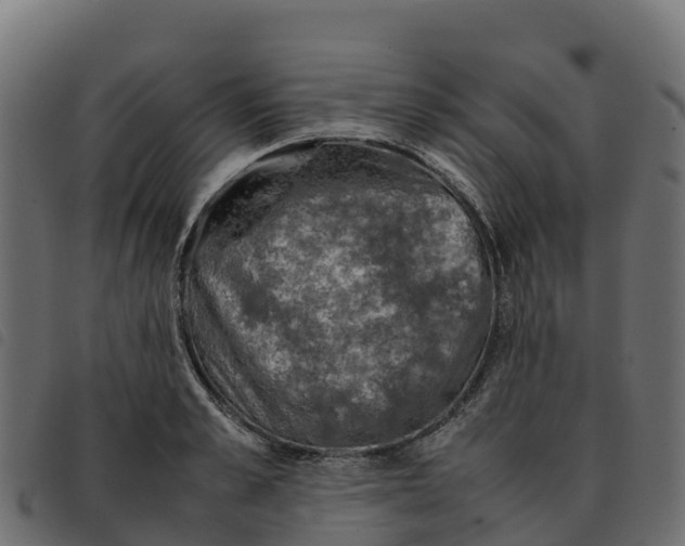 X0000092220989200710121153