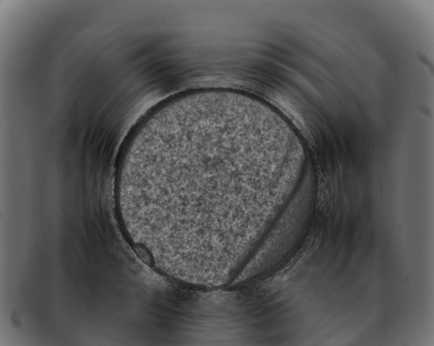 X0000092220992200710121153