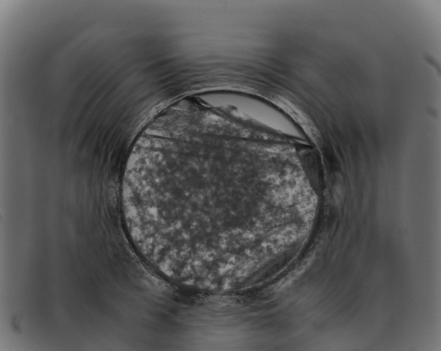 X0000092220993200710121153