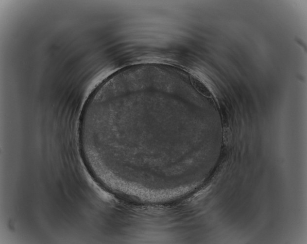 X0000092220995200710121153