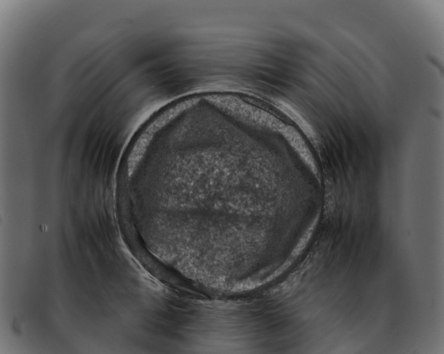 X0000092220996200710121153