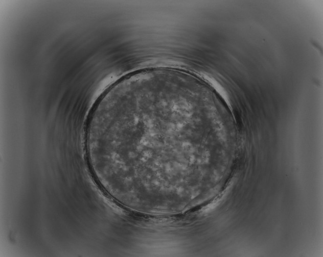 X0000092220997200710121153