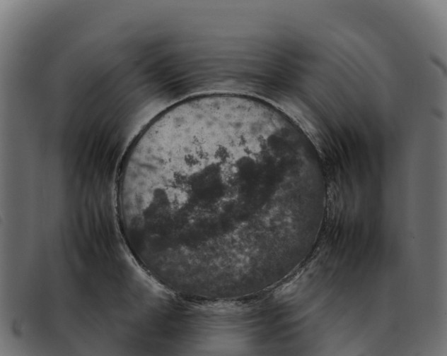 X0000092220998200710121153