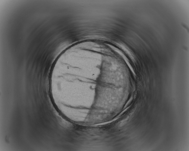 X0000092220999200710121153