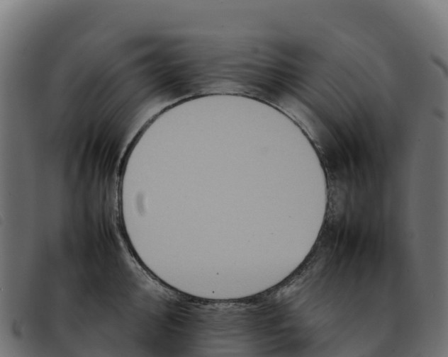 X0000092221000200710121153