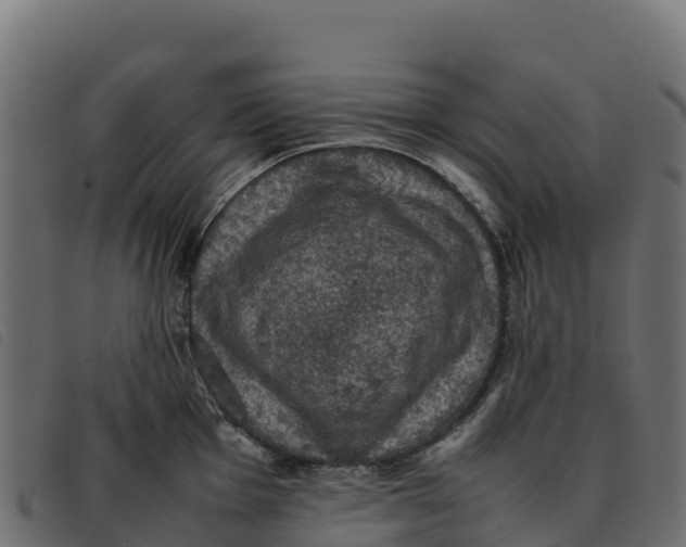 X0000092221001200710121153