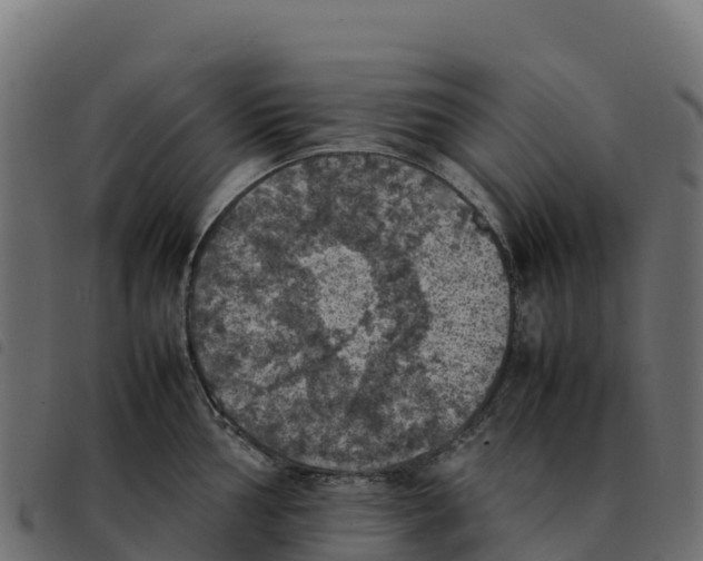 X0000092221002200710121153