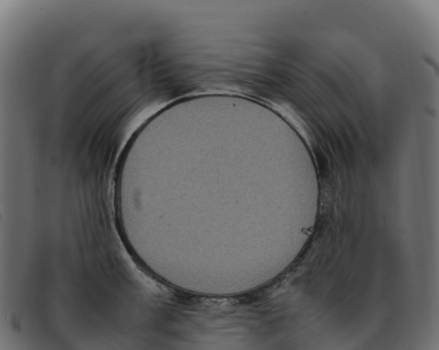 X0000092221003200710121153