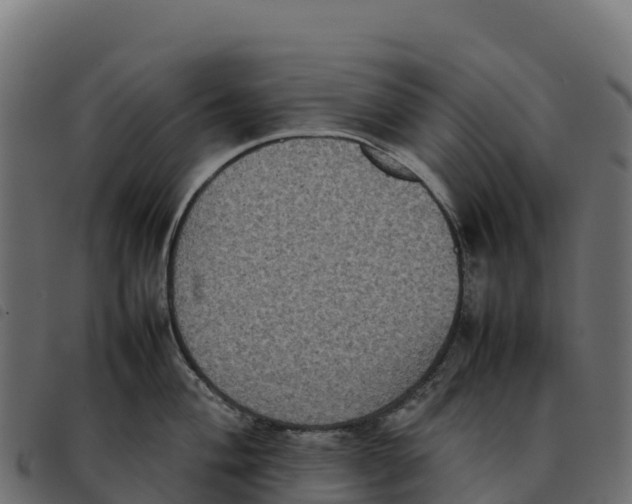 X0000092221004200710121153