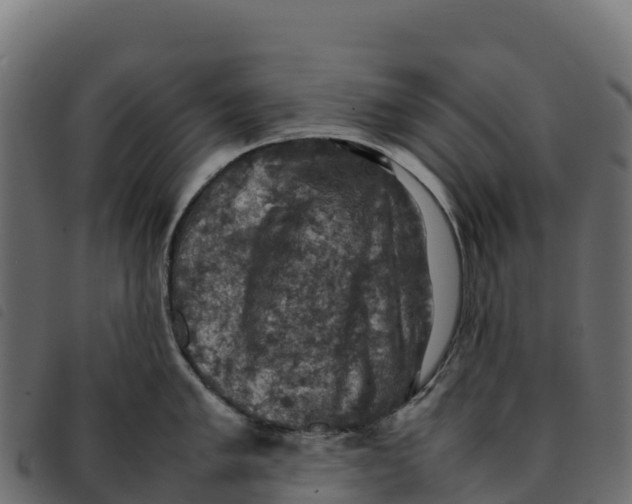 X0000092221005200710121153