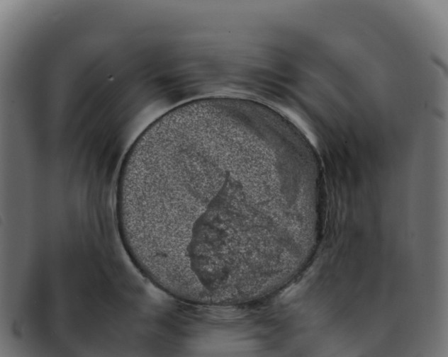 X0000092221007200710121153