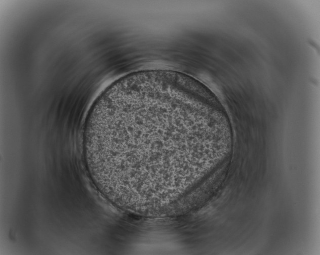 X0000092221008200710121153