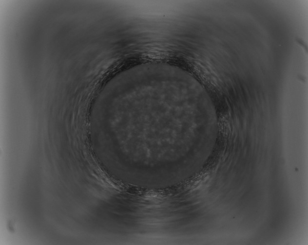 X0000092221009200710121152