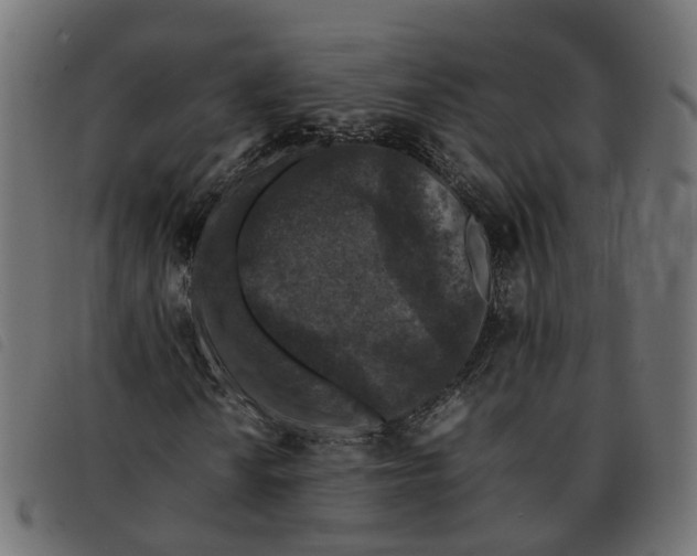 X0000092221010200710121152