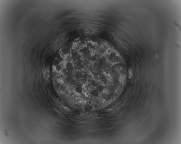 X0000092221011200710121152