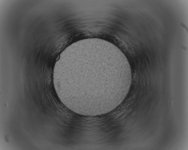 X0000092221012200710121152