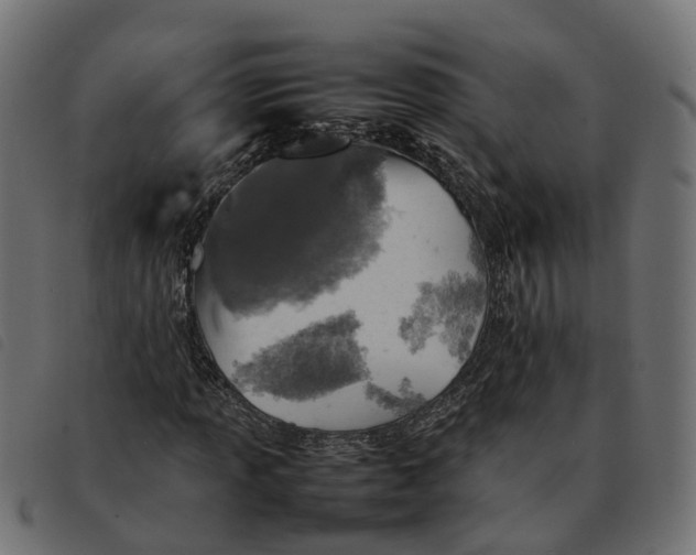 X0000092221013200710121152