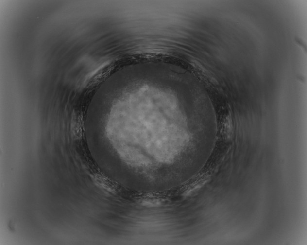 X0000092221014200710121152