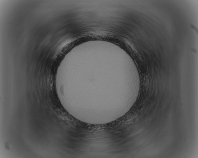 X0000092221016200710121152