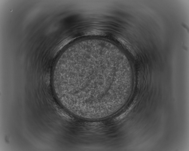 X0000092221017200710121152