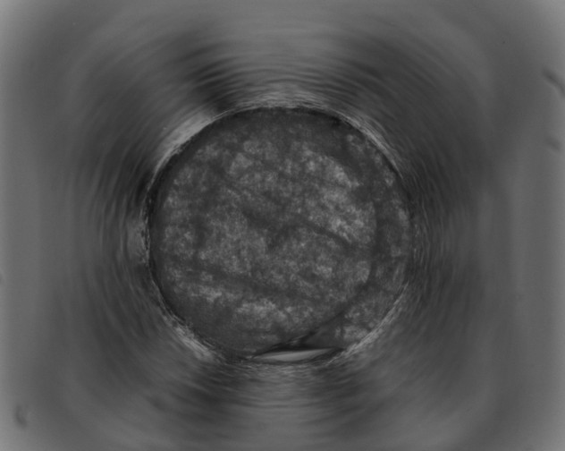 X0000092221018200710121152