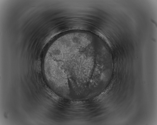 X0000092221019200710121152