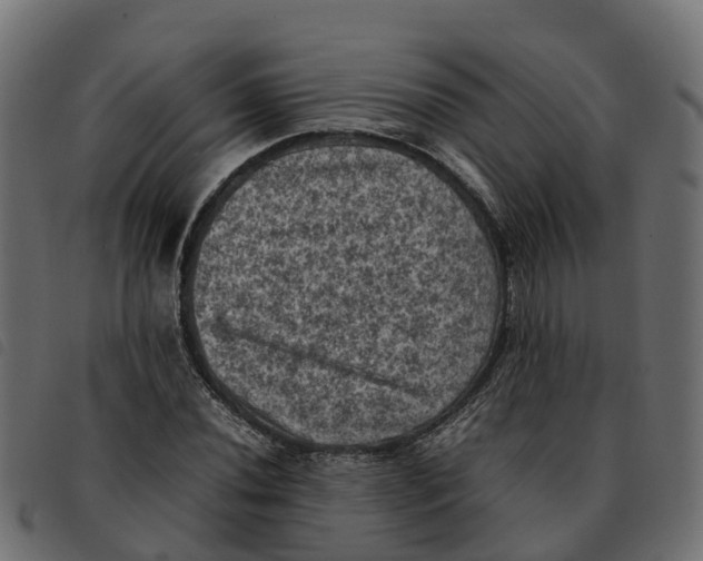 X0000092221020200710121152