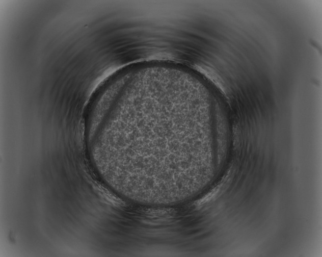 X0000092221021200710121152