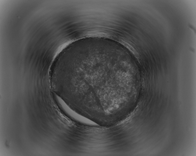 X0000092221022200710121152