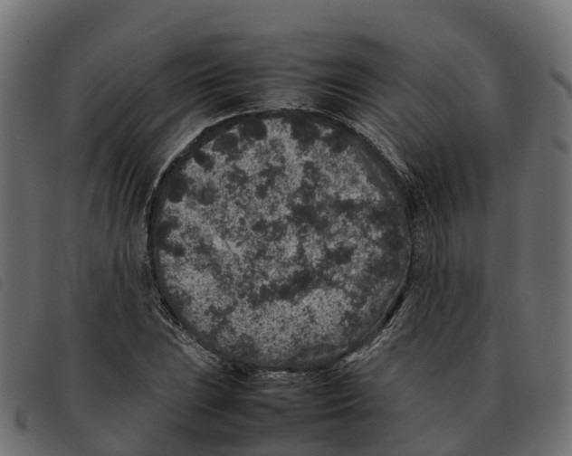 X0000092221023200710121152