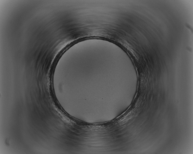X0000092221024200710121152