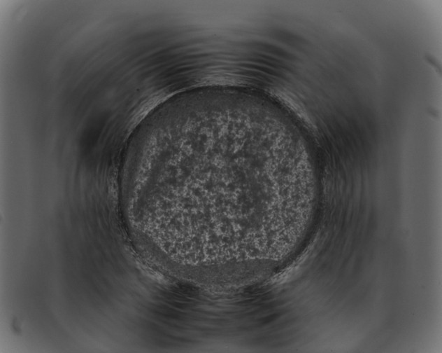 X0000092221025200710121152