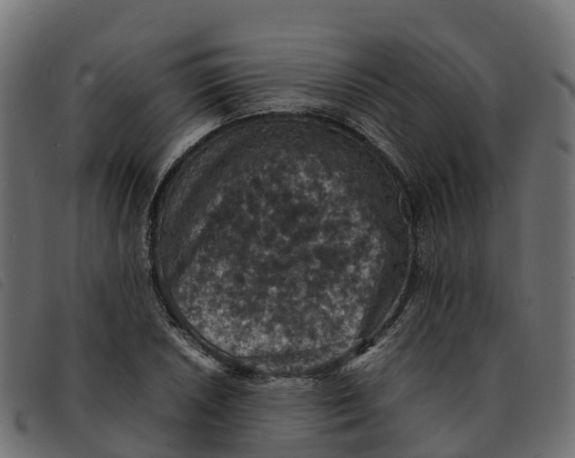 X0000092221026200710121152