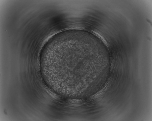 X0000092221027200710121152