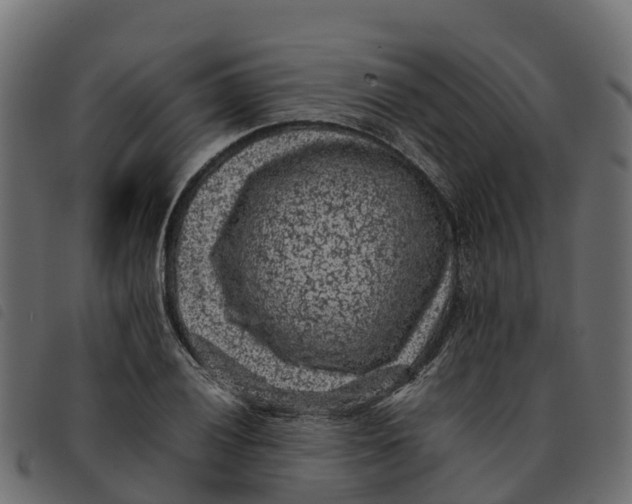 X0000092221028200710121152